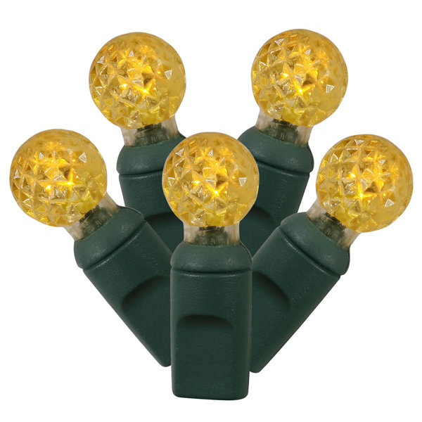LED 50 Lights by The Holiday Aisle