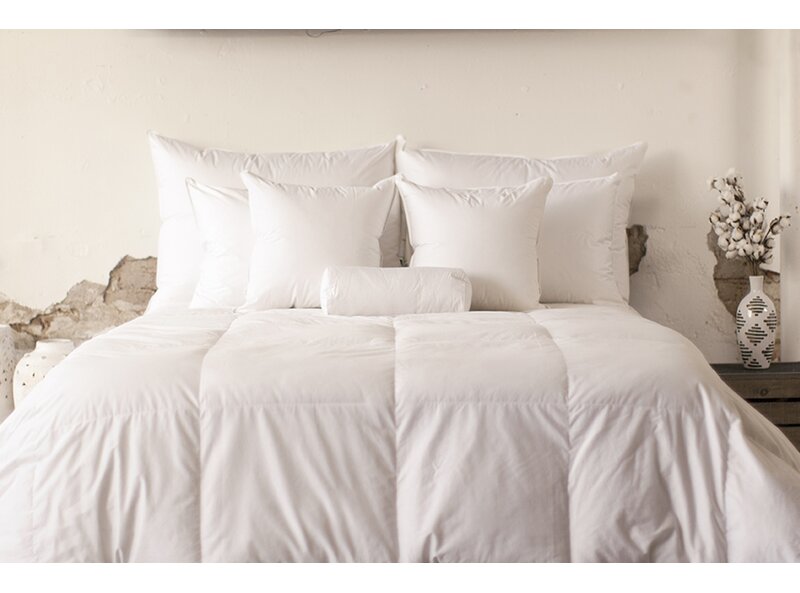 Alwyn Home Light Weight Cotton Sateen Down Comforter Wayfair