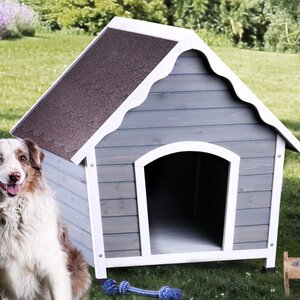 Moki Contemporary Dog House