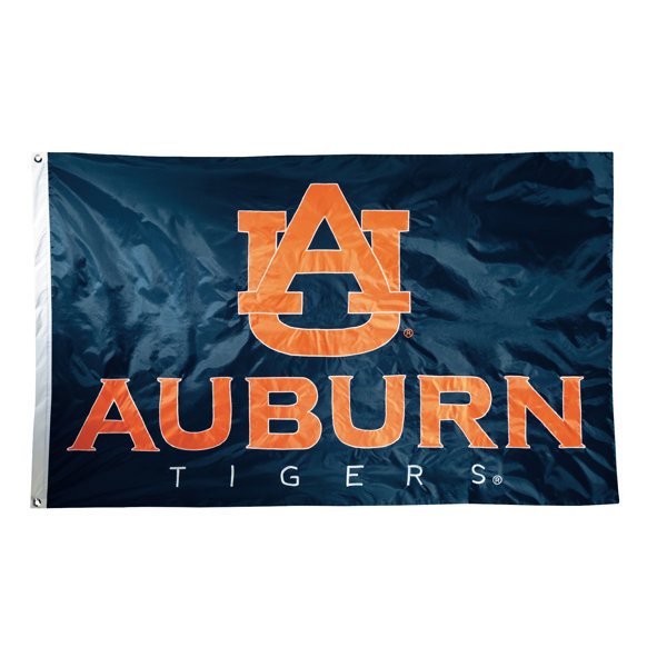 NCAA Applique Nylon 3 x 5 ft. Flag by Team Pro-Mark