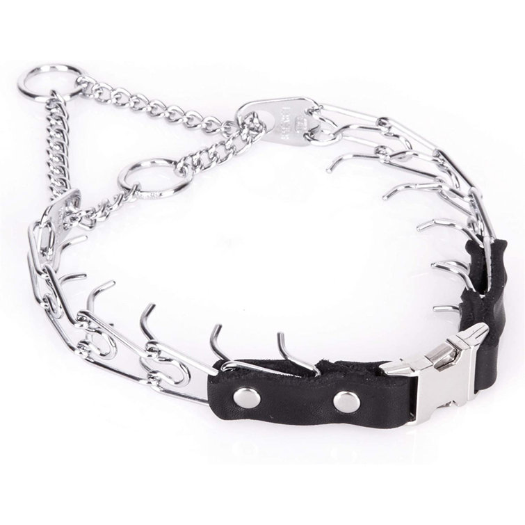dog still pulls with prong collar