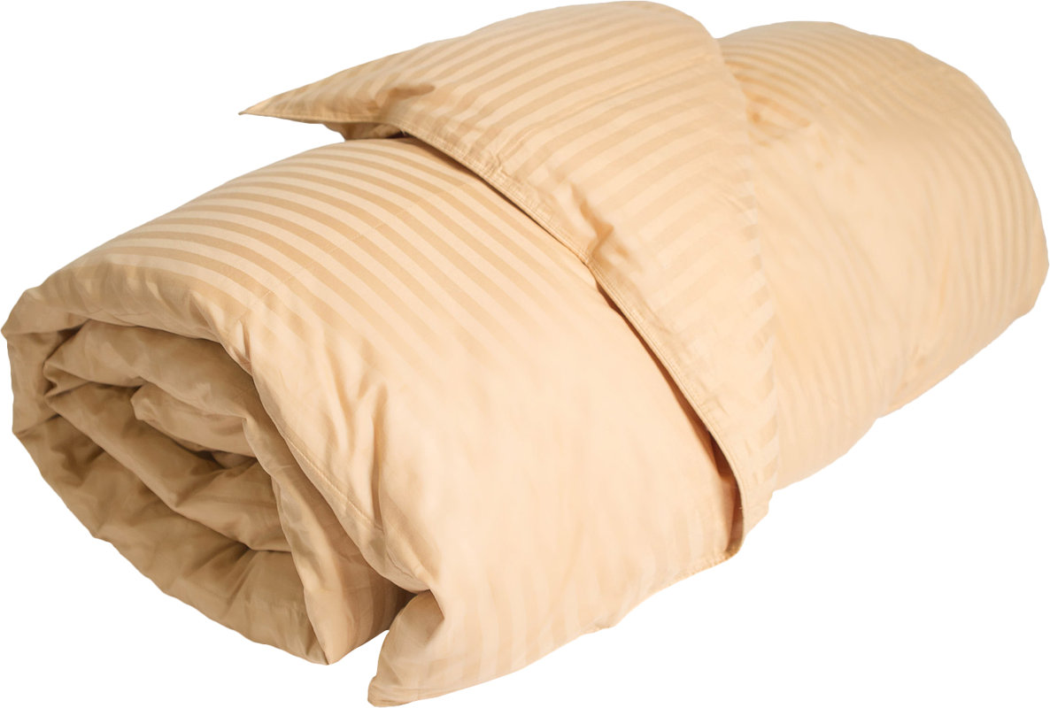 Downlite Midweight Down Alternative Comforter & Reviews Wayfair