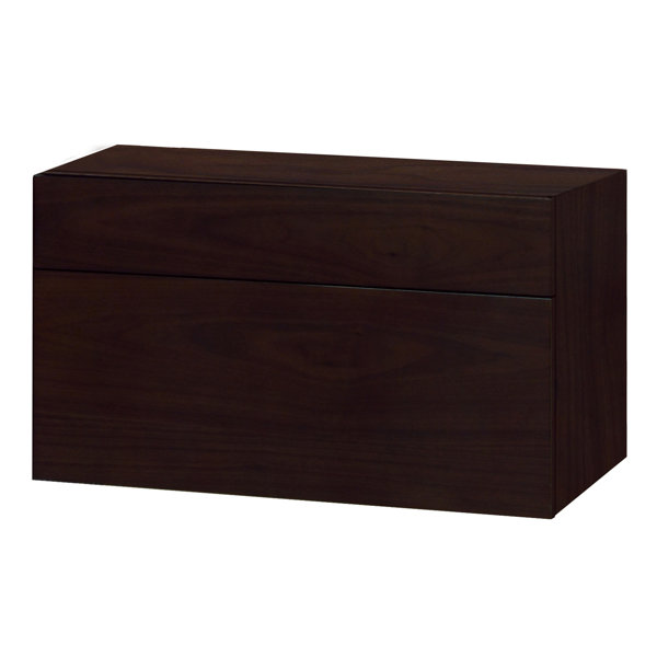 Modesta Walnut 23.63 W x 13.75 H Wall Mounted Cabinet by Sagehill Designs