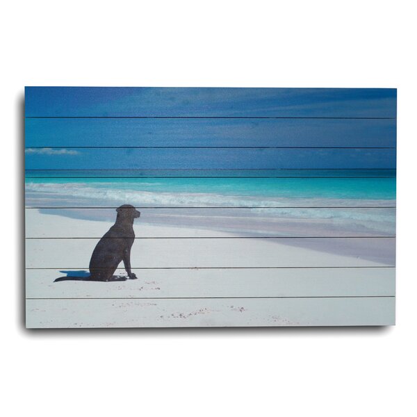 Dog at the Beach Photographic Print by Gallery 57
