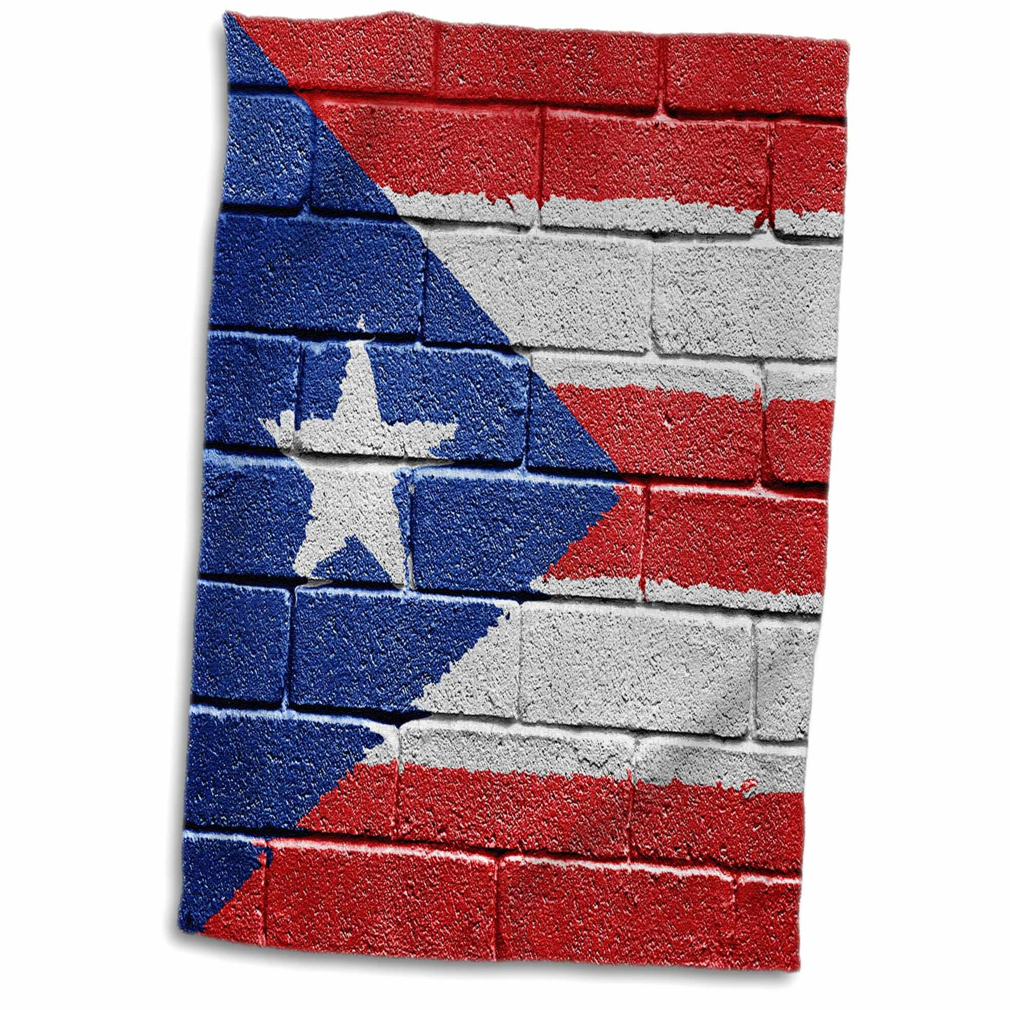 Symple Stuff Mosely National Flag Of Puerto Rico Painted Onto A