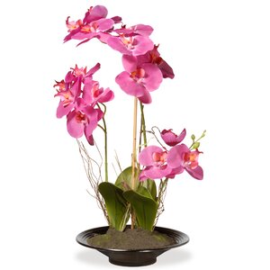 Faux Orchid Floral Arrangement in Planter