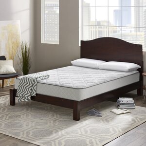 Wayfair Sleep 10