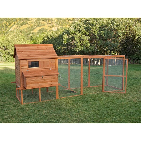 Ranch Chicken Coop with Roosting Bar by Chicken Saloon