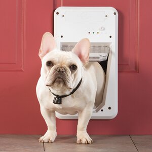 Smart Pet Door