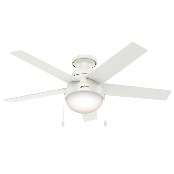 46 Anslee 5 Blade Ceiling Fan Light Kit Included