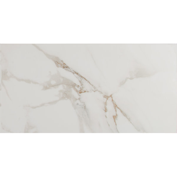 Pietra Carrara 12 x 24 Porcelain Field Tile in White by MSI