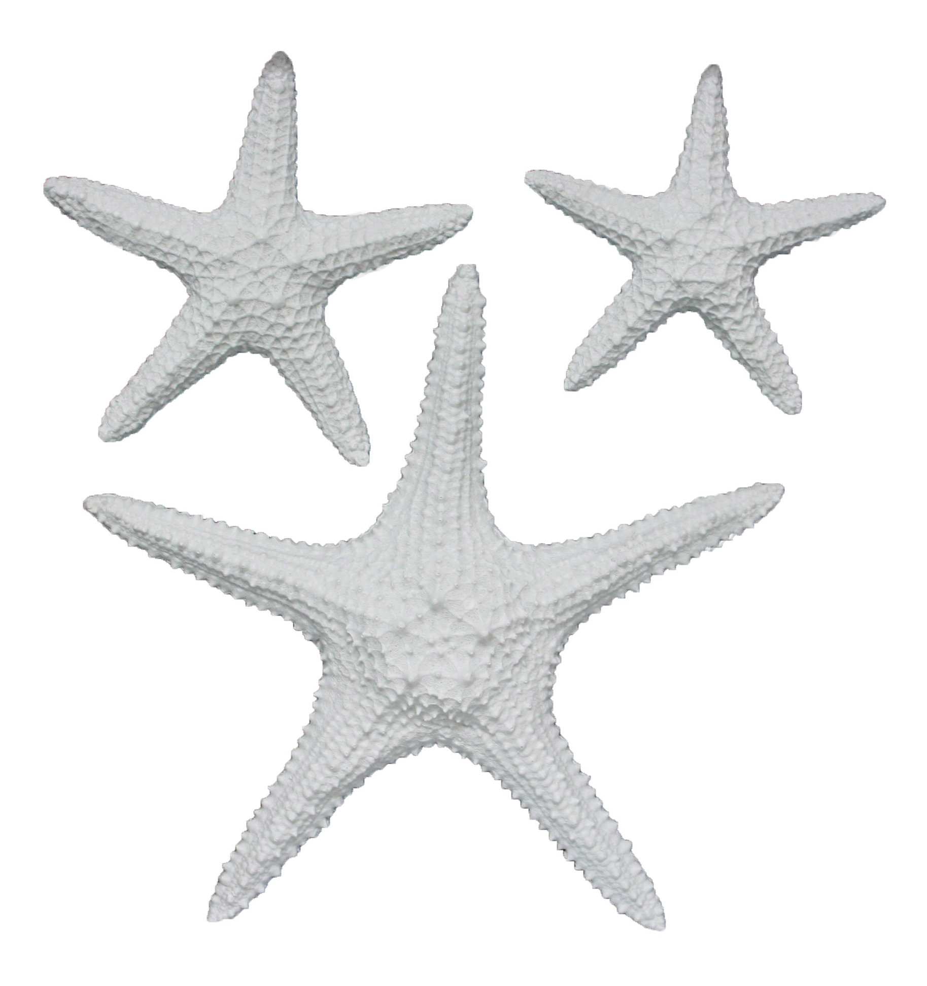Fetco Home Decor Yelton 3 Piece Starfish Wall Décor Set Reviews Fetco Home Decor Yelton 3 Piece Starfish Wall Décor Set Reviews Wayfair
