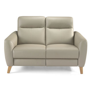 genuine leather upholstered 2 seater reclining sofa ... 5C3K0V6B
