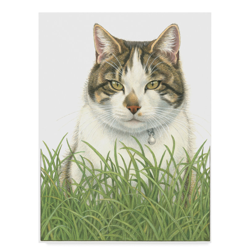 Trademark Art Cat In Tall Grass Acrylic Painting Print On