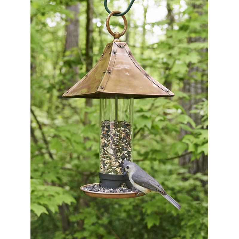 Good Directions Palazzo Tube Bird Feeder Reviews Wayfair