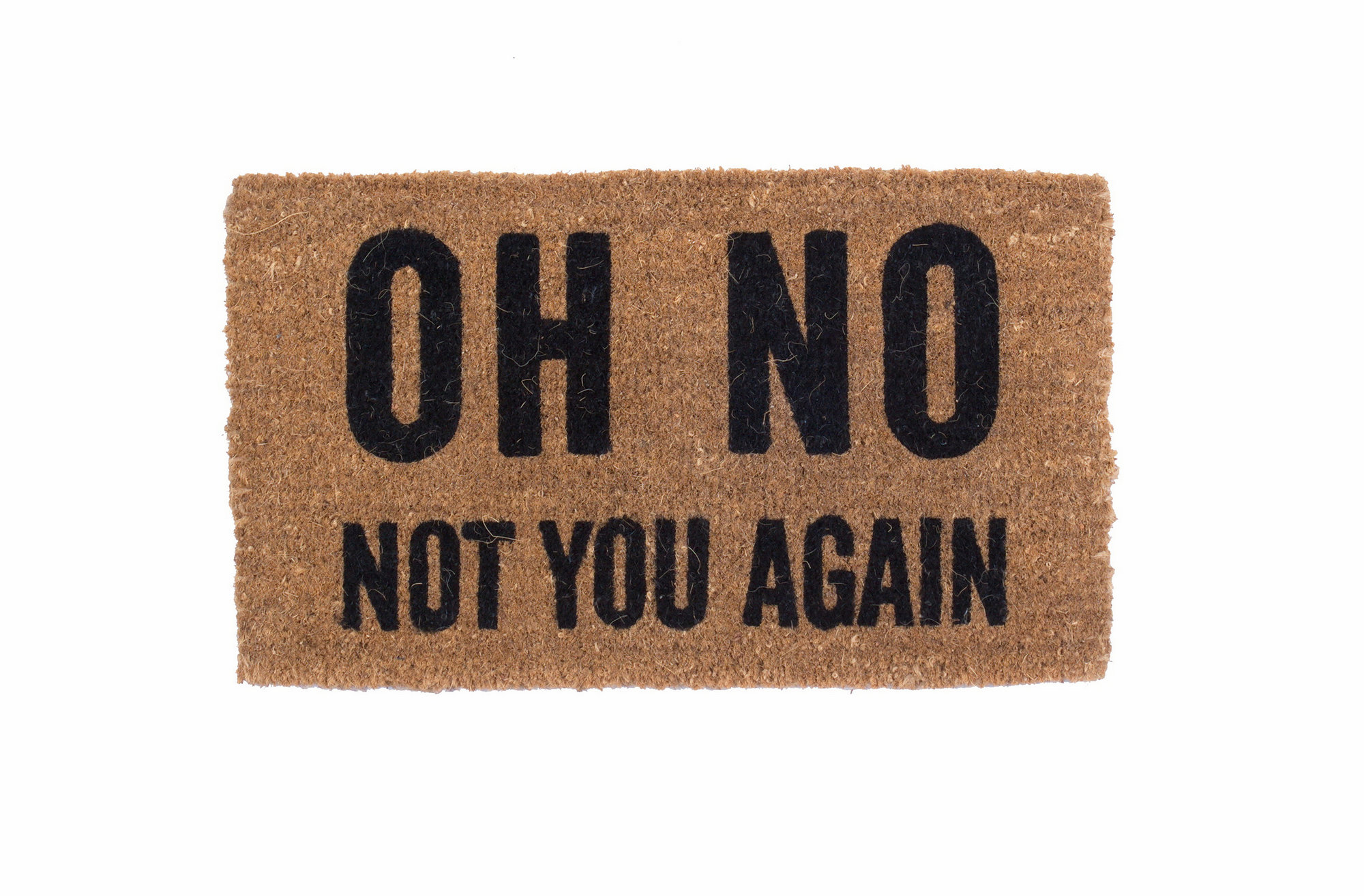 Coco Mats N More Oh No Not You Again 30 In X 18 In Outdoor Door