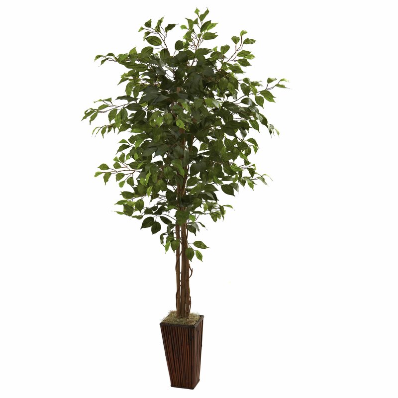 Charlton Home® Artificial Ficus Tree in Decorative in Decorative Vase ...