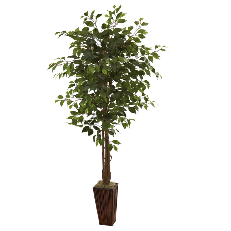 Charlton Home® Artificial Ficus Tree in Decorative in Decorative Vase