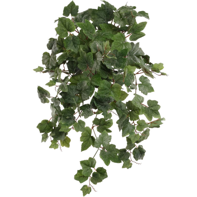 Larksilk 24" Hanging Grape Ivy Plant & Reviews Wayfair.ca