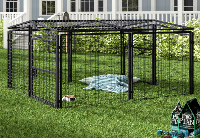 Outdoor Dog Kennels for Less