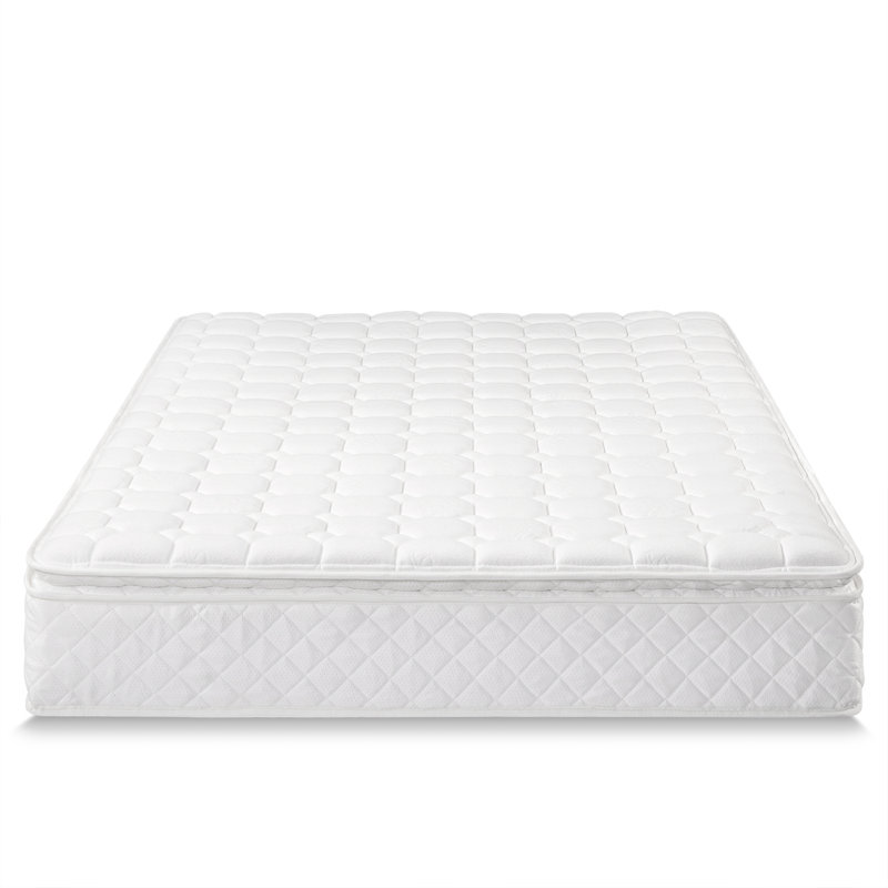Alwyn Home Haylie Two Sided 10 Extra Firm Pillow Top Mattress