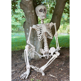 posable halloween skeleton