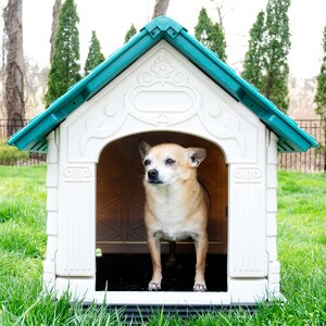 DazzleDen Elite Pet Villa Dog House