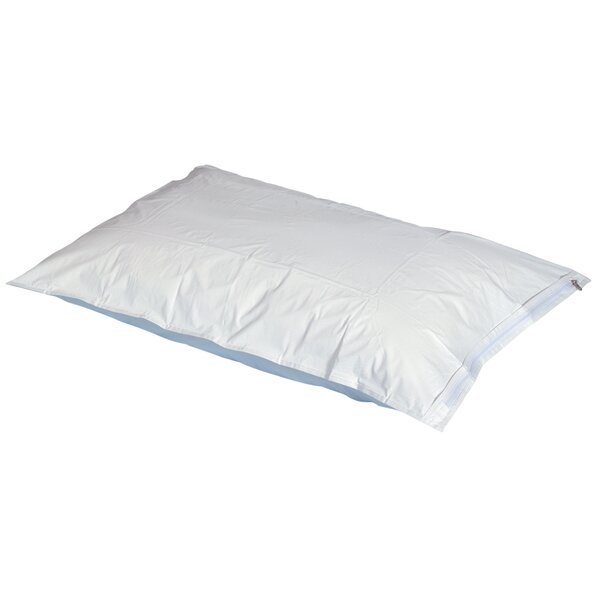 Pillow Protector (Set of 2) by Symple Stuff