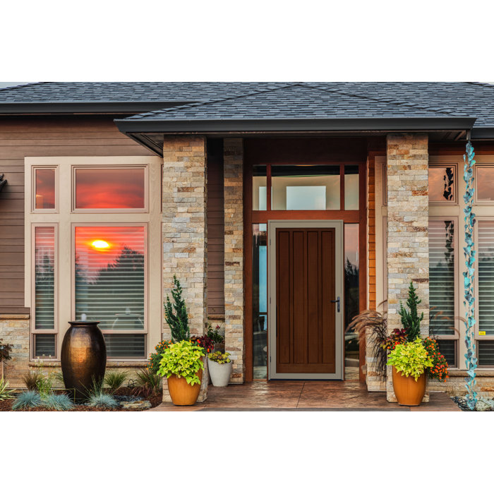 Titan Security Doors Meshtec Single Surface Mount Ultimate