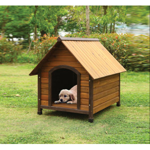 Woody Dog House