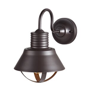 Derek 1-Light Outdoor Barn Light