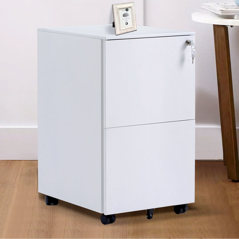 Latitude Run 2-Drawer Metal Mobile File Cabinet With Lock ...