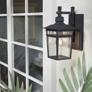 Valeri 1-Light Outdoor Wall Lantern