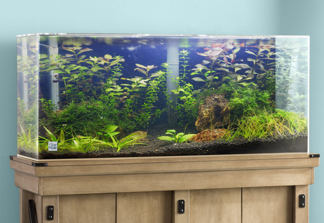 Best-Selling Freshwater Aquariums
