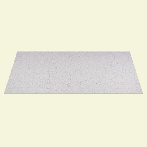 Genesis 2 Ft X 4 Ft Drop In Ceiling Tile In White Wayfair