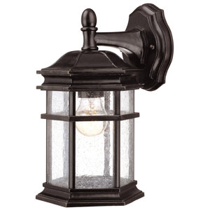 Derosier Contemporary 1-Light Outdoor Wall Lantern