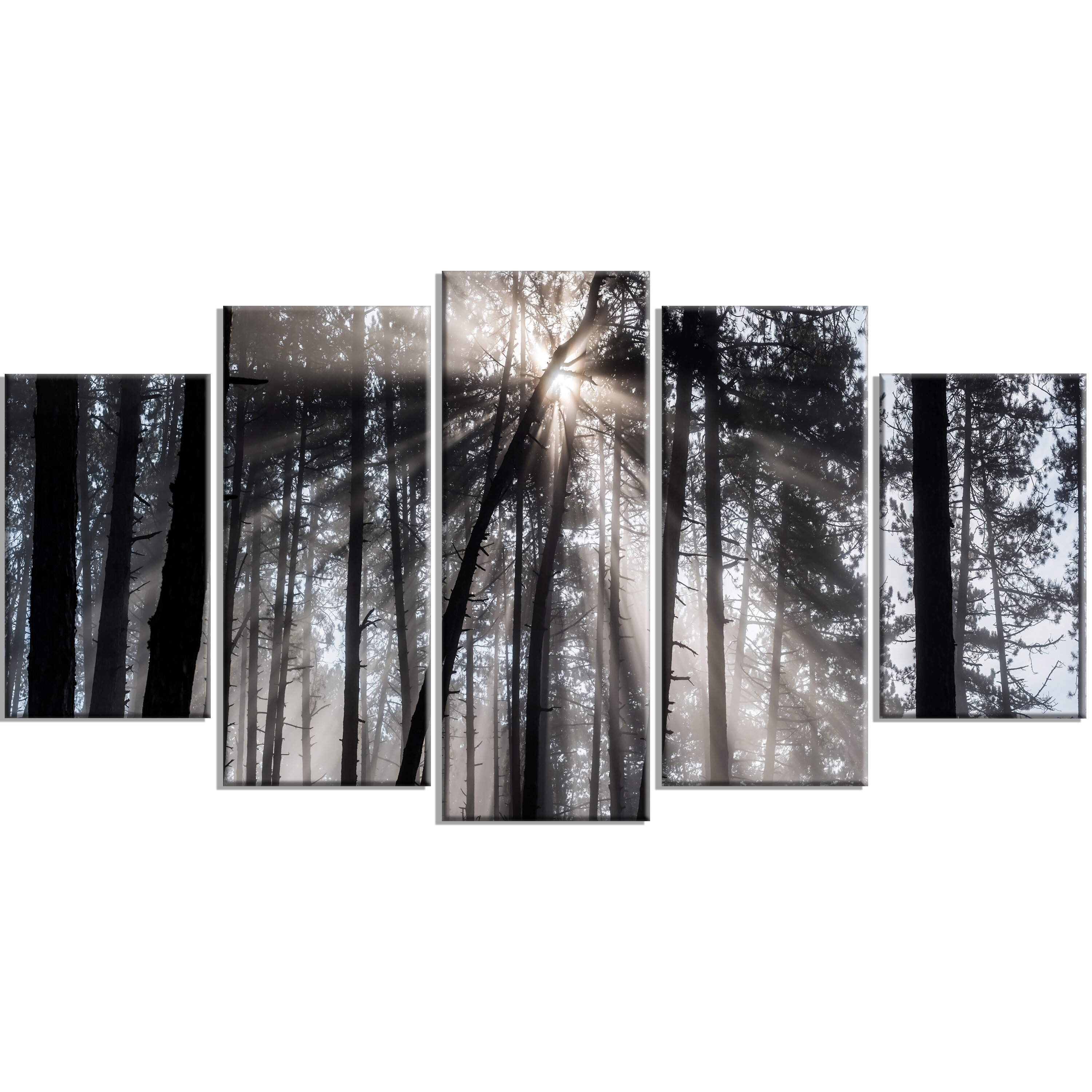 Millwood Pines Sunbeams Through Black White Forest 5 Piece Wall