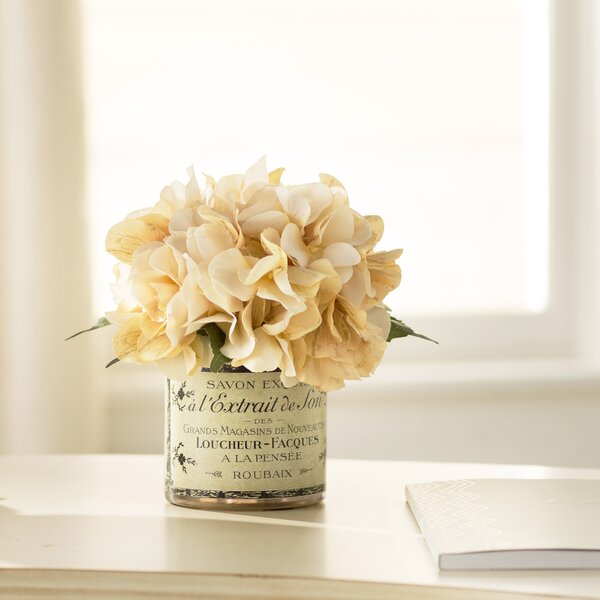 Adelaide Hydrangea in French Labeled Pot by Lark Manor