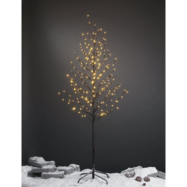 Pre-Lit LED 240 Light Star Tree by Lightshare