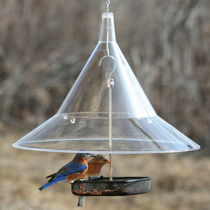 Mandarin Hanging Squirrel Baffle