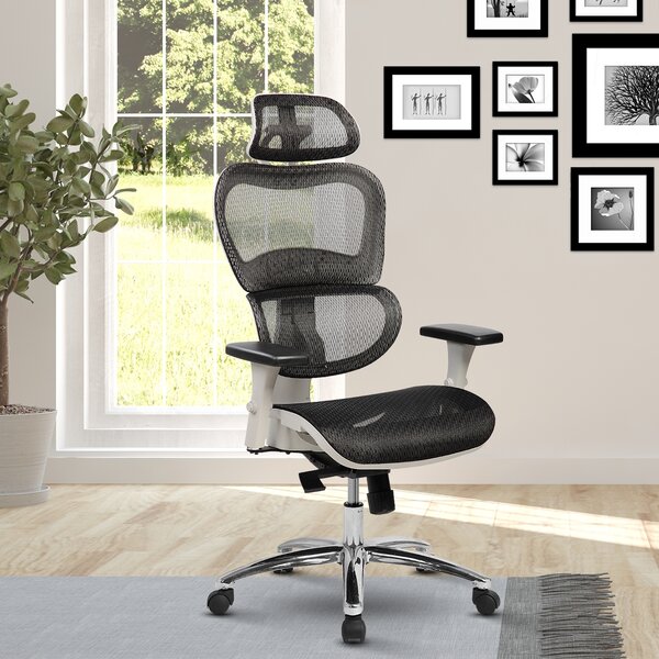 Eure Deluxe Mesh High-Back Desk Chair with Neck Support by Latitude Run