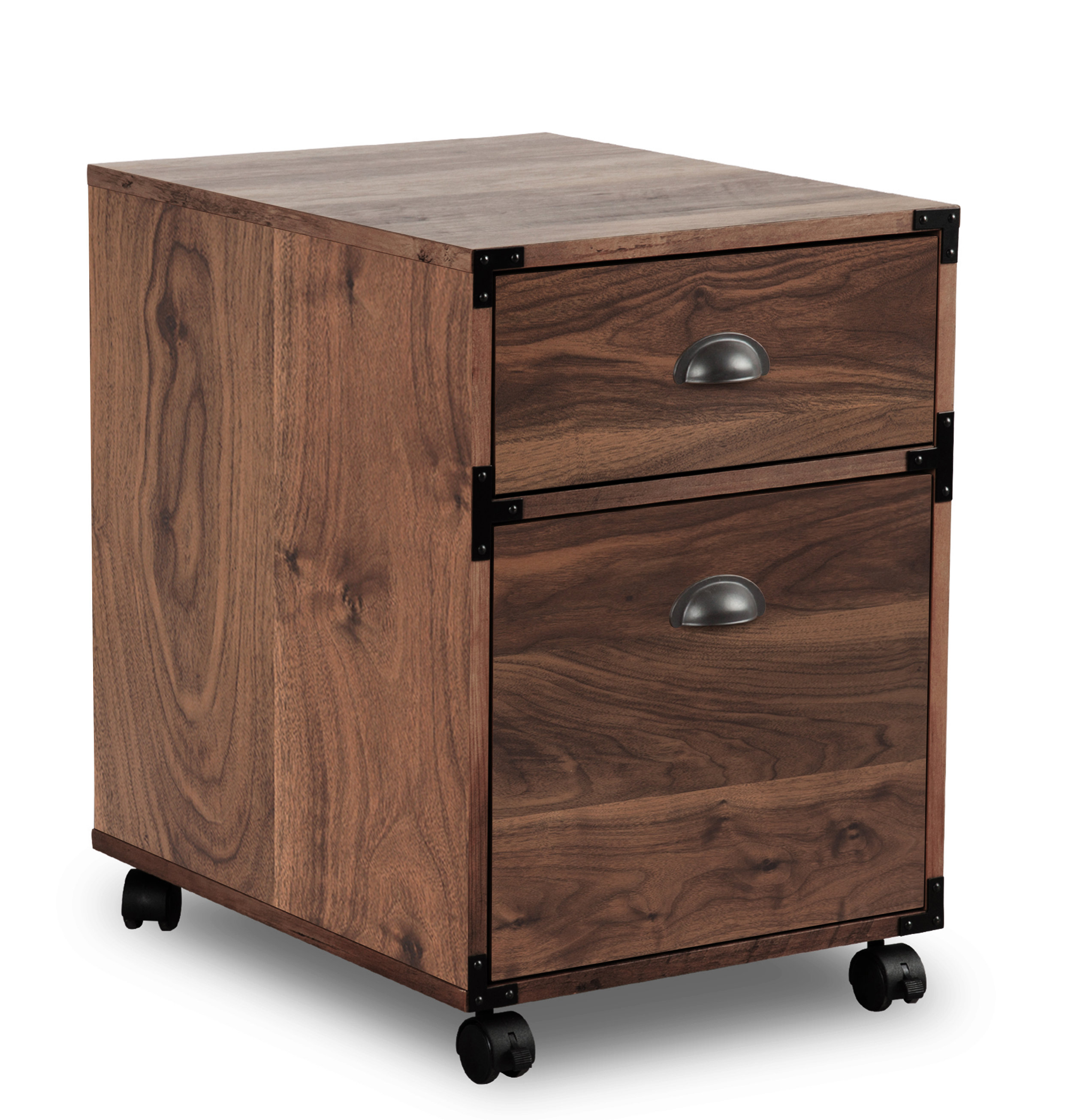 Williston Forge Orman 2 Drawer Mobile Vertical Filing Cabinet
