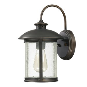 Calvin 1-Light 100W Outdoor Wall Lantern