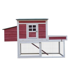 Farmhouse Chicken Coop with Display Top, Run Area and Nesting Box