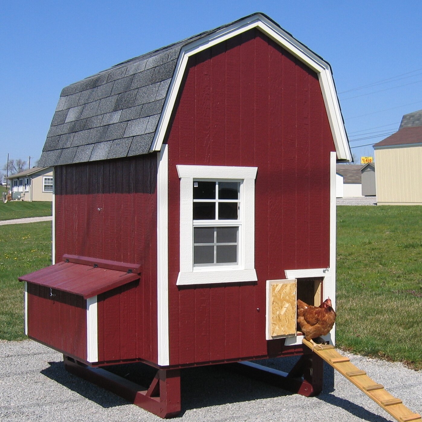 Tucker Murphy Pet Daria Gambrel Barn Chicken House With Nesting