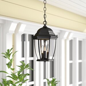 Drumkeeran 3-Light Outdoor Hanging Lantern