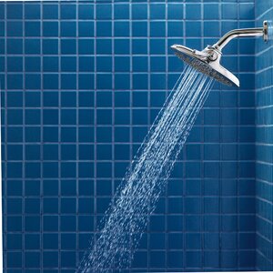 Velocity Premium Shower head with Immersion