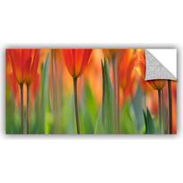 ArtWall Jan Weiss Day Lillies Appeelz Removable Graphic Wall Art 18 by 18