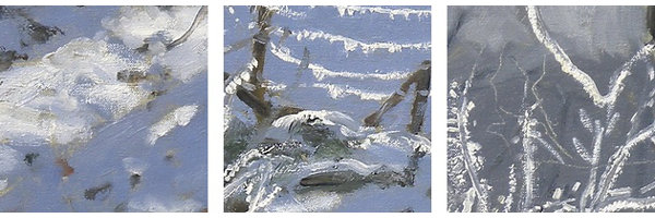 Great Big Canvas Hoar Frost Markeaton Derby Uk By Andrew Macara