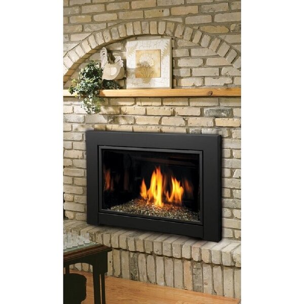Home Décor Direct Vent Natural Gas/Propane Fireplace Insert